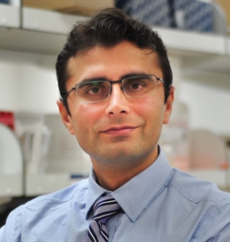Prof. Pankaj Singh